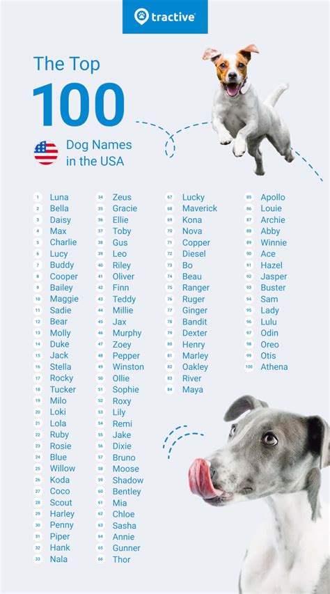 dignified dog names|most popular dog names.